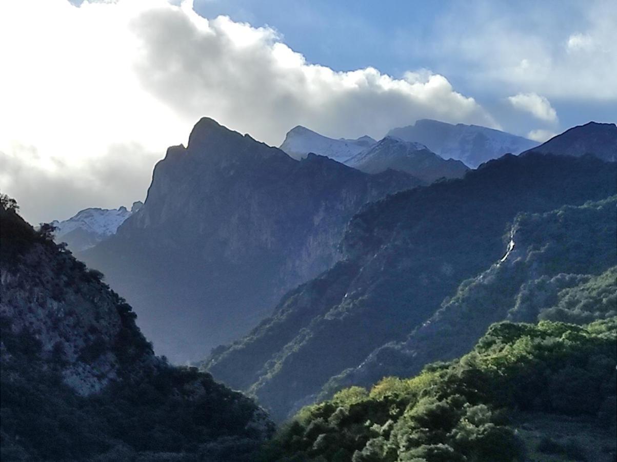 El Chalet De La Poza - Rio, Barbacoa, Wifi, Zona De Trabajo, Vistas. Lebena Exterior foto